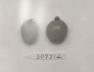 Click for 1 image(s) for this accession. FRUIT